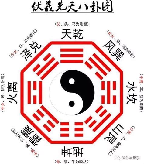 八卦五行圖|學易經八卦（八卦圖解）